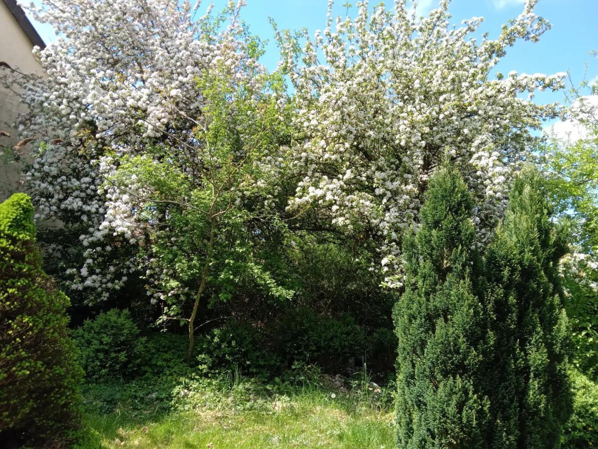 Vakantie Boerderij De Boerenzwaluw Karl المظهر الخارجي الصورة