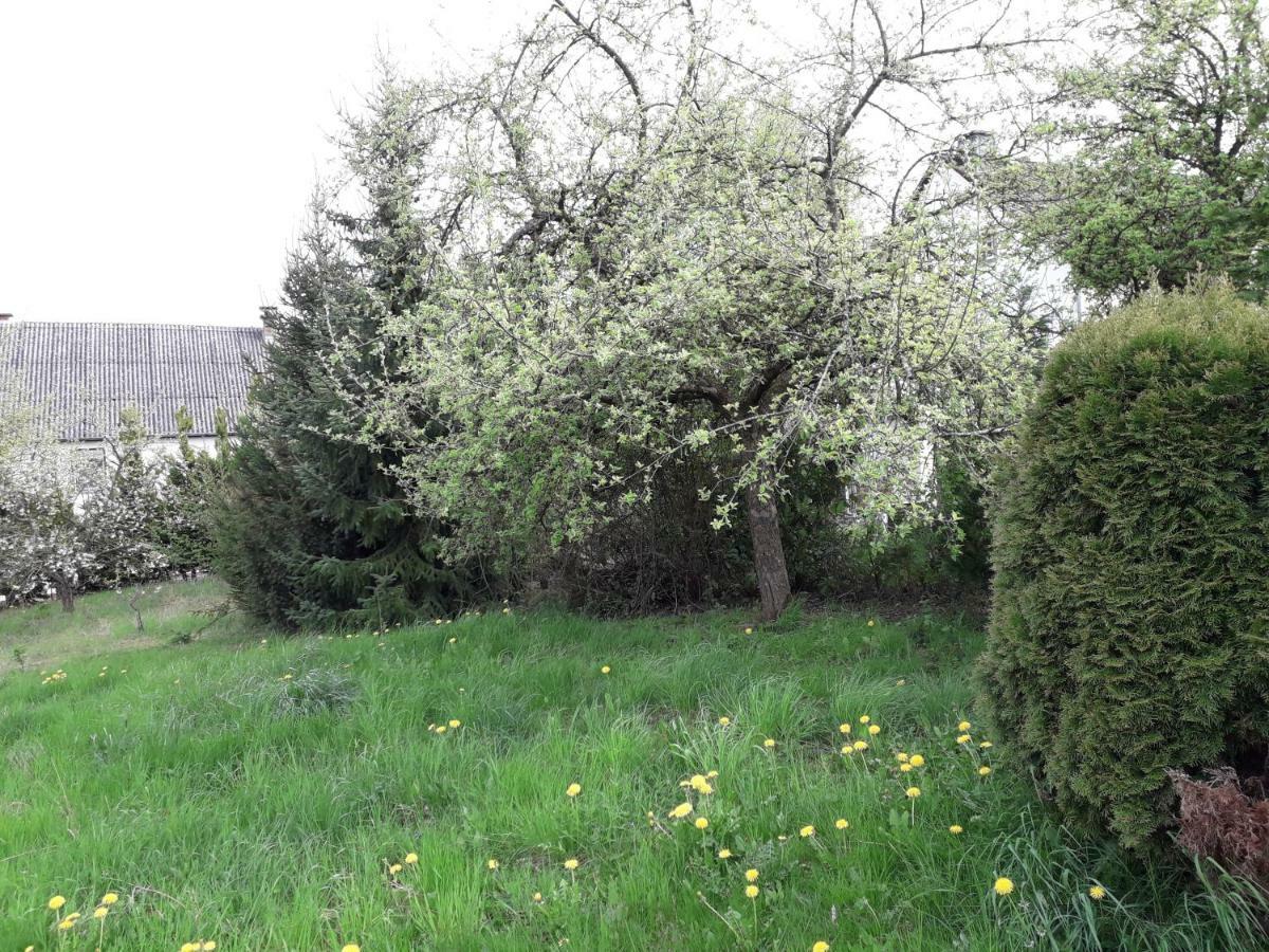 Vakantie Boerderij De Boerenzwaluw Karl المظهر الخارجي الصورة